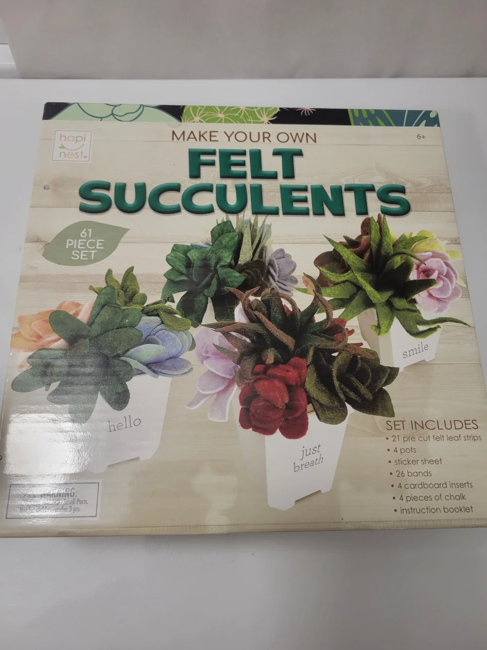 Felt Succulents Craft Kit - Green, Red, Purple, Pink (61-Piece)